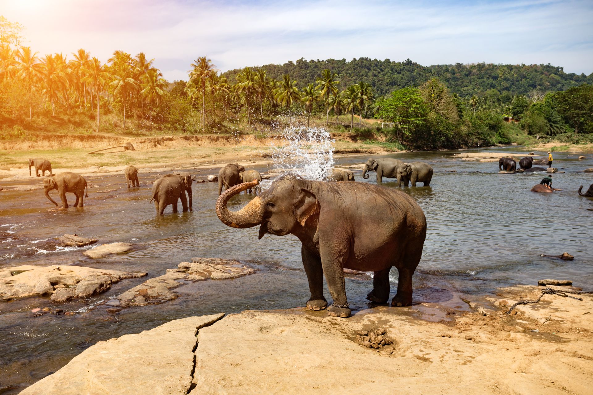 Sri Lanka travel inspiration 2